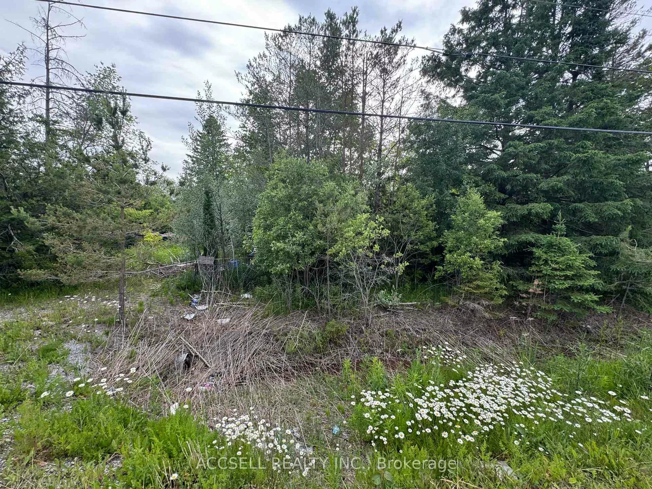 21416, 48, Rural East Gwillimbury, East Gwillimbury