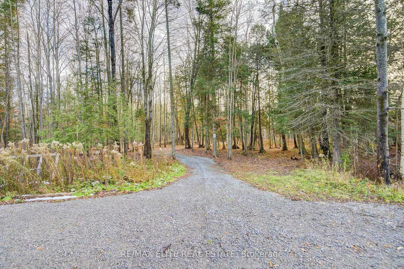 4909, Holborn, Rural East Gwillimbury, East Gwillimbury