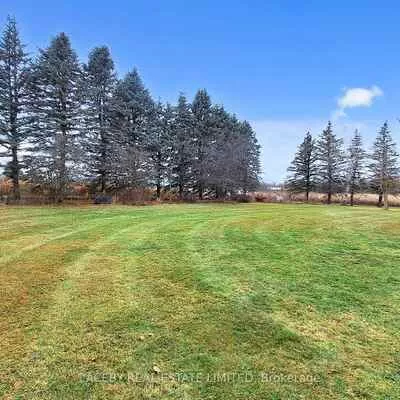 19654, McCowan, Rural East Gwillimbury, East Gwillimbury