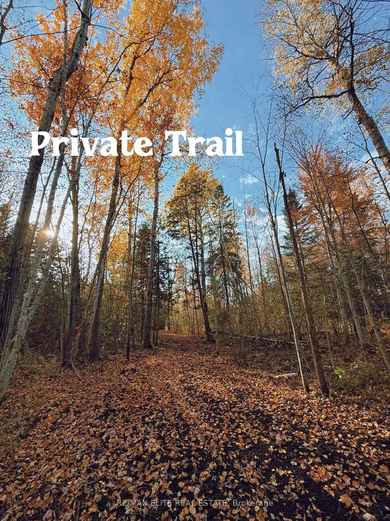 4909, Holborn, Rural East Gwillimbury, East Gwillimbury