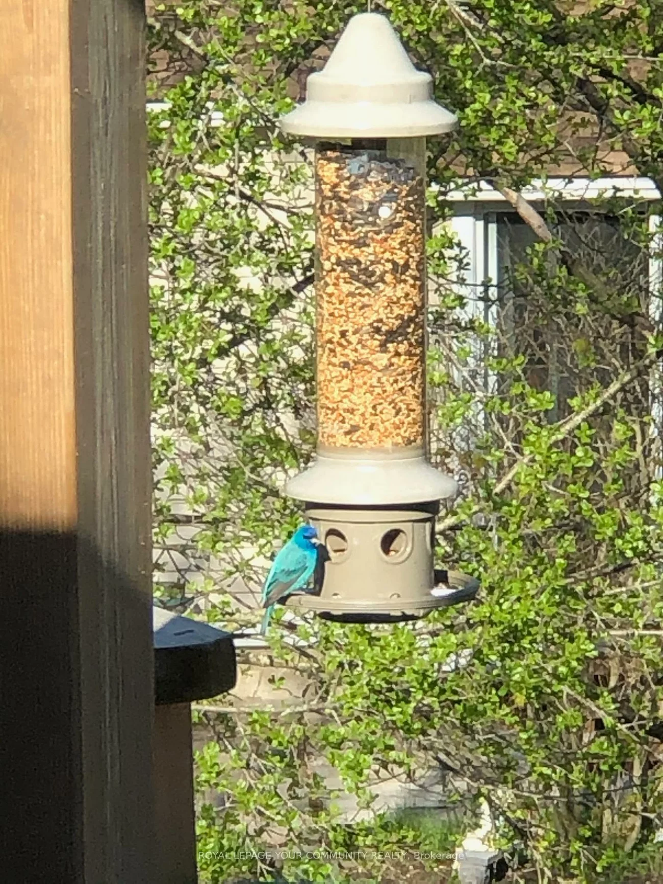 11, Summit, Holland Landing, East Gwillimbury