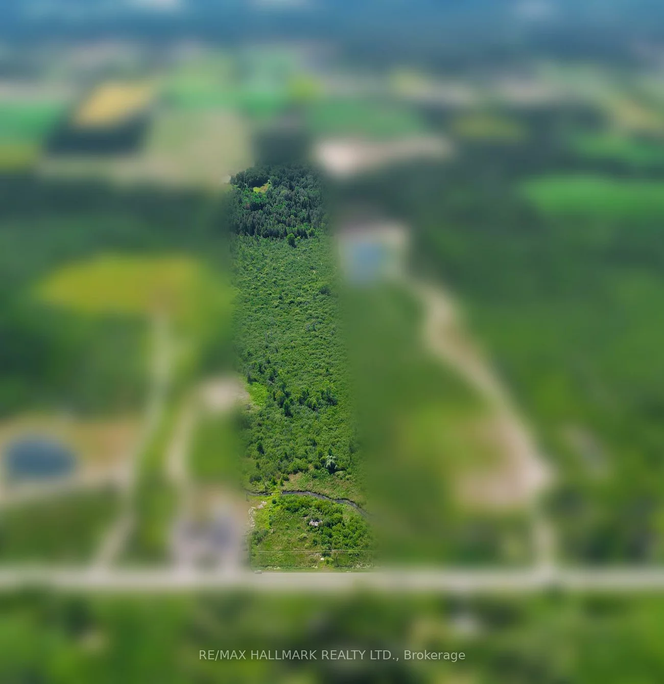 20200, 48, Rural East Gwillimbury, East Gwillimbury