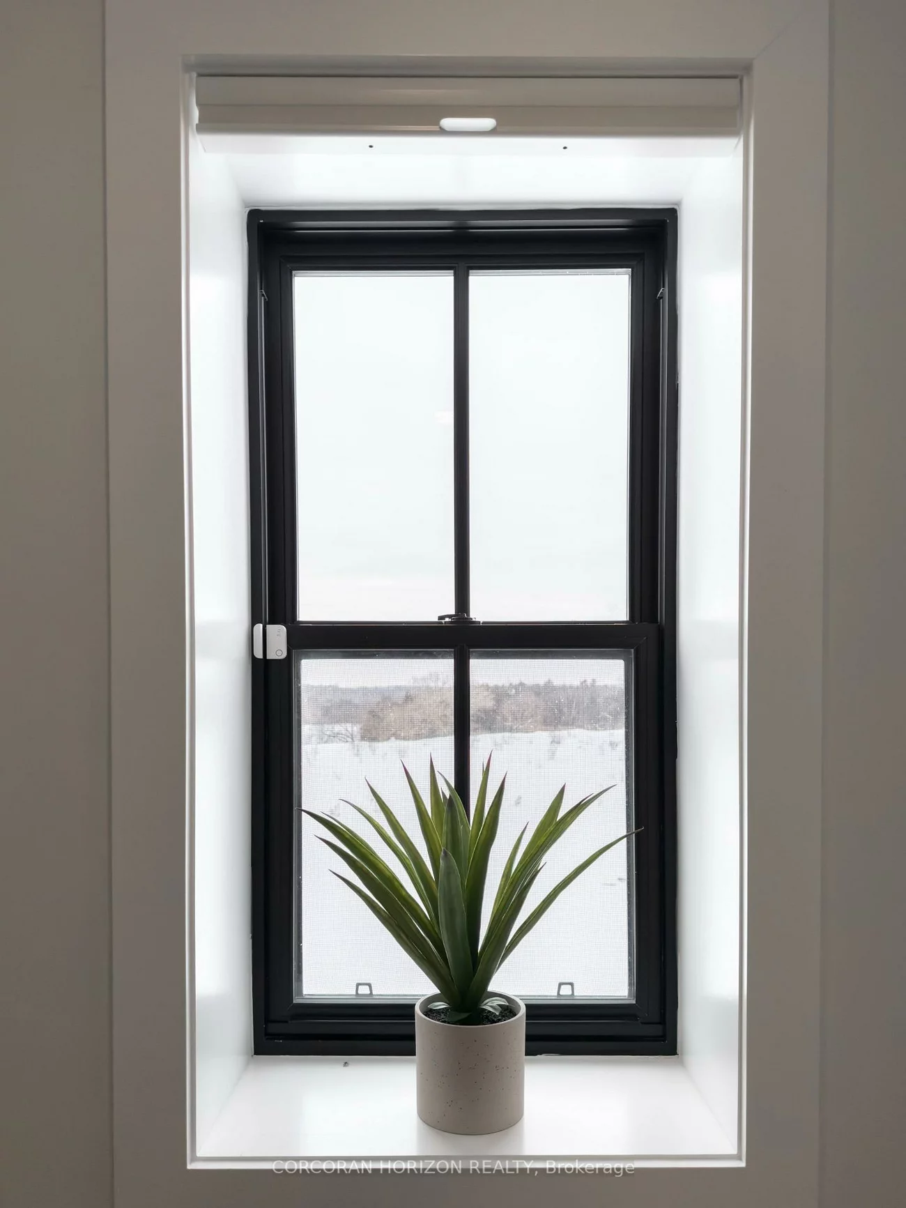 19572, Centre, Rural East Gwillimbury, East Gwillimbury