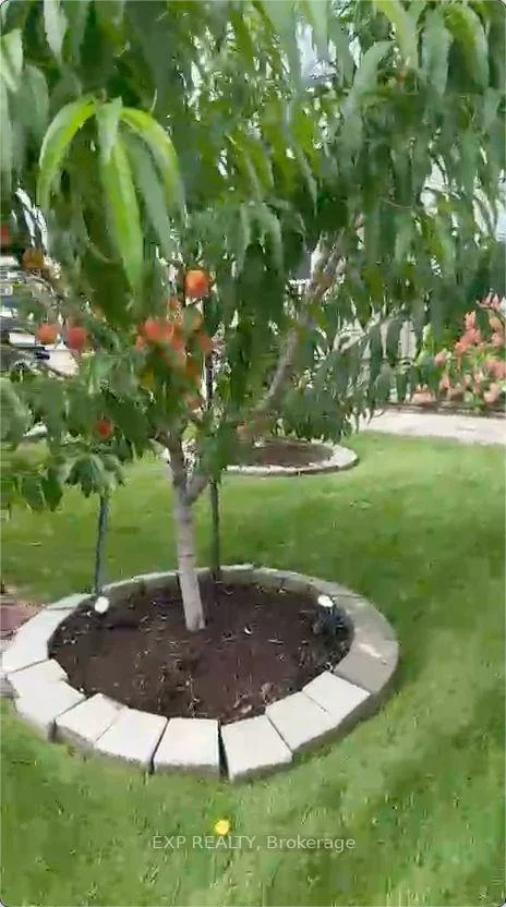 2, Tesla, Holland Landing, East Gwillimbury