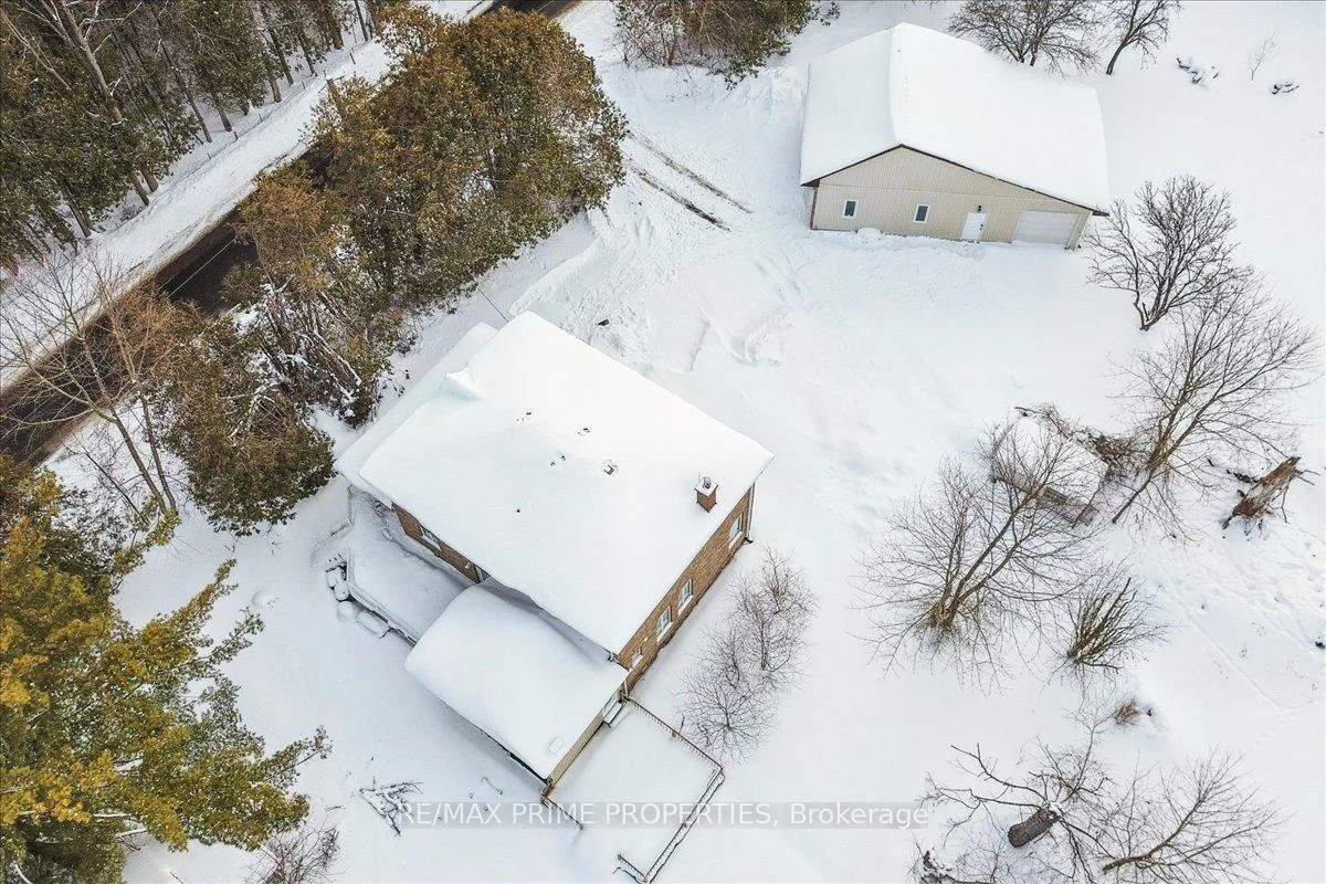 3016, Cole, Rural East Gwillimbury, East Gwillimbury