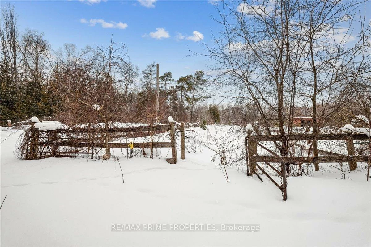 3016, Cole, Rural East Gwillimbury, East Gwillimbury