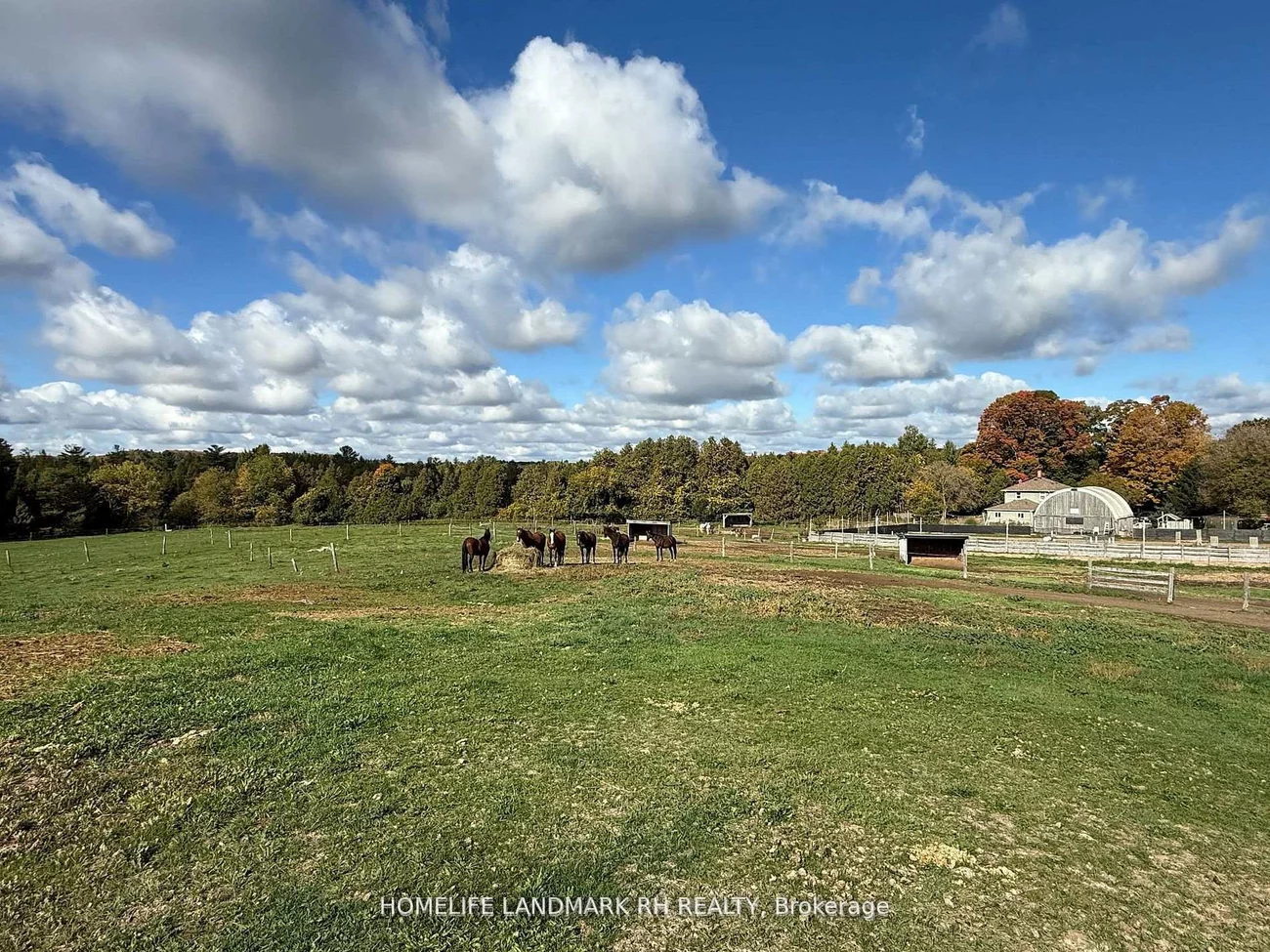 5031, Herald, Mt Albert, East Gwillimbury