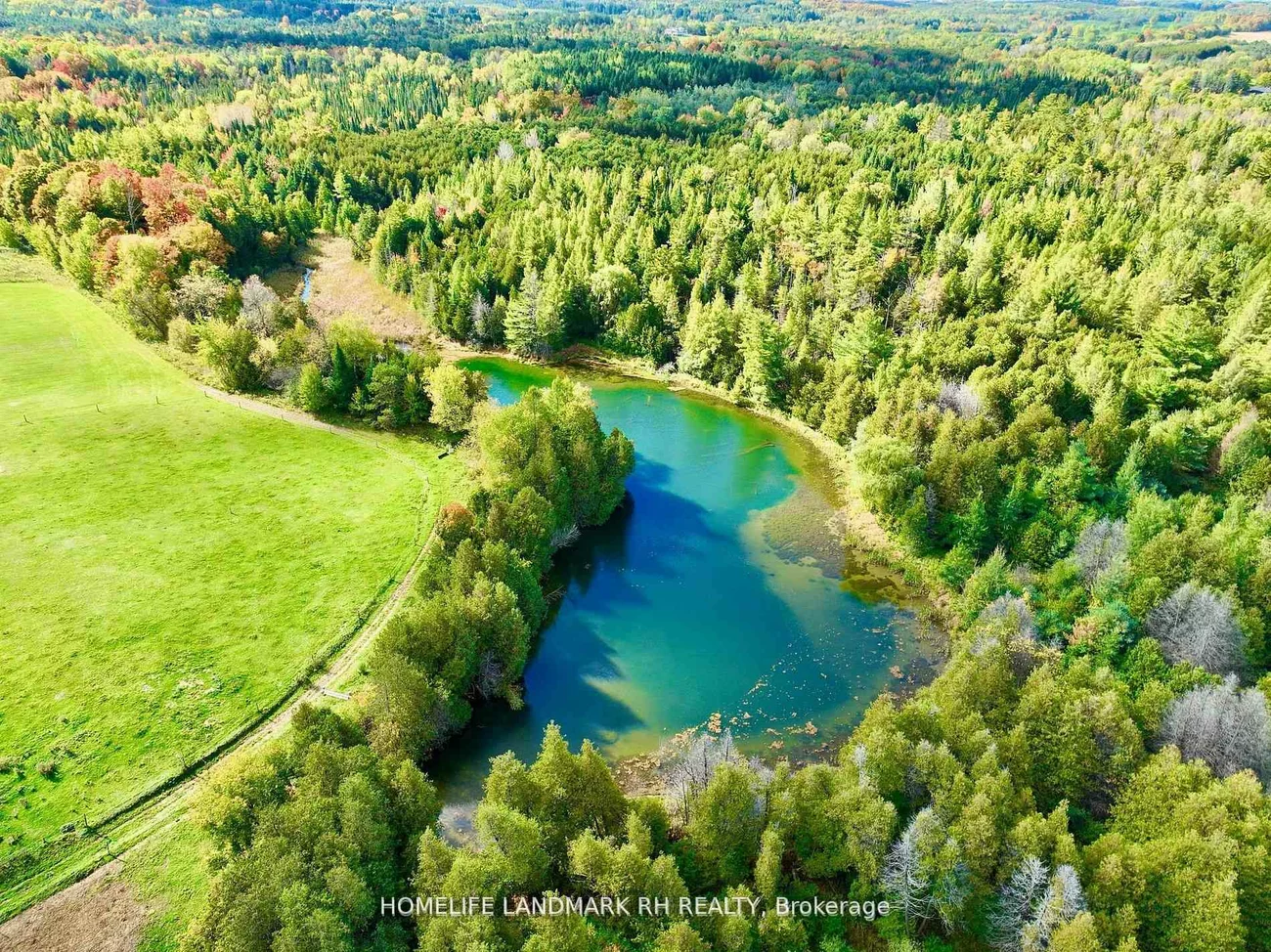 5031, Herald, Mt Albert, East Gwillimbury