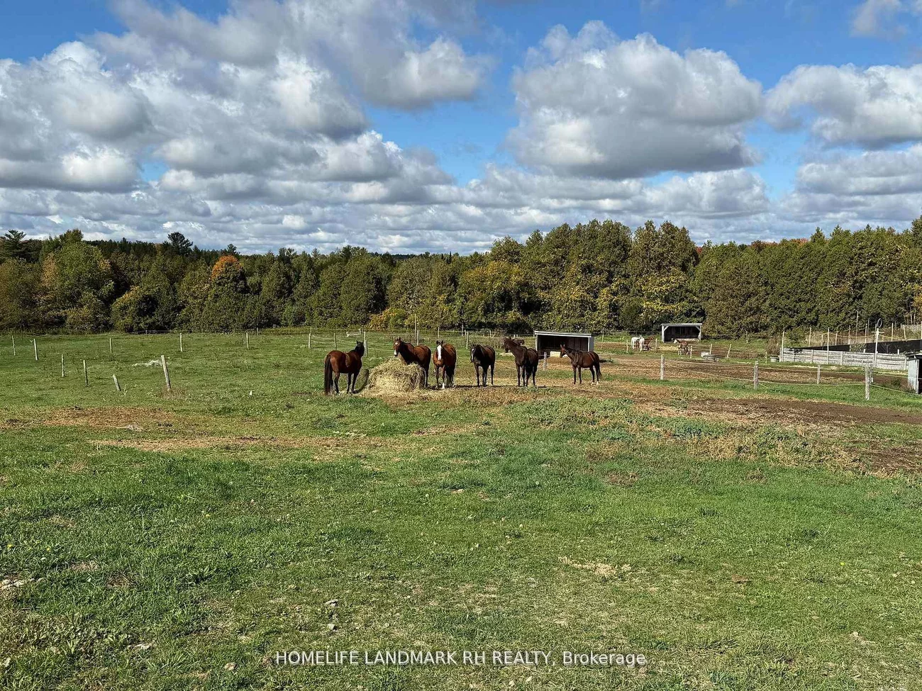 5031, Herald, Mt Albert, East Gwillimbury