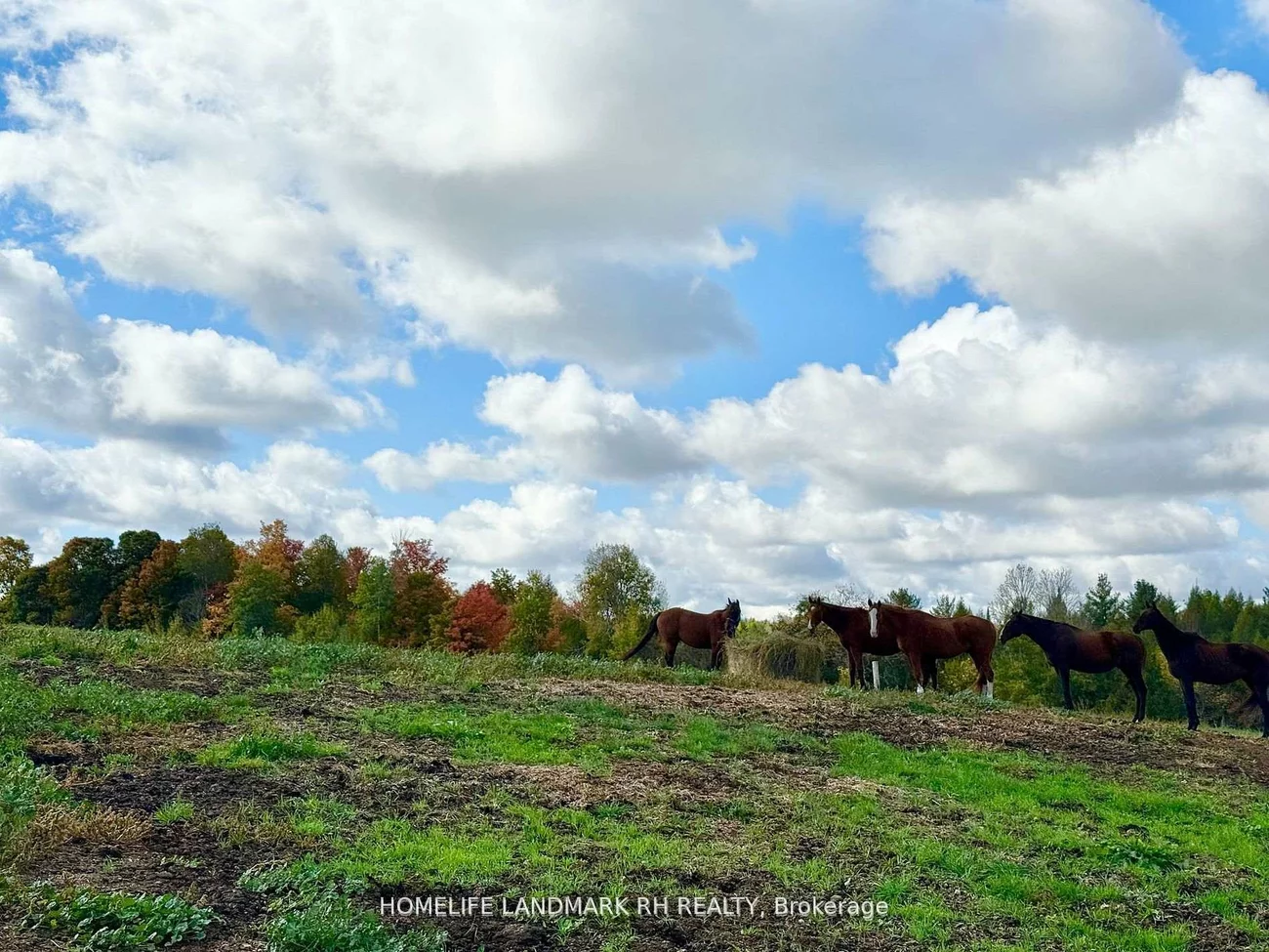 5031, Herald, Mt Albert, East Gwillimbury