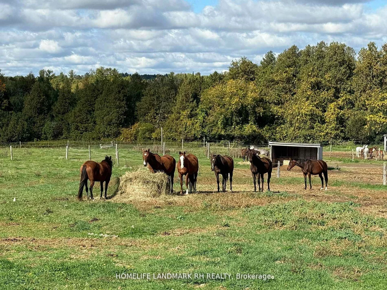 5031, Herald, Mt Albert, East Gwillimbury