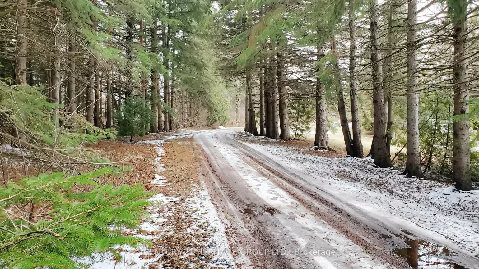 21455, Warden, Rural East Gwillimbury, East Gwillimbury