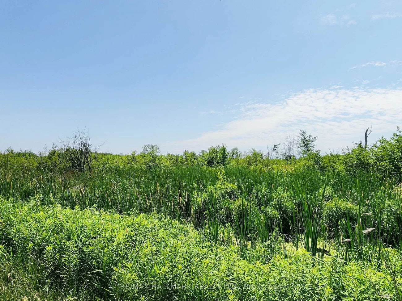 20200, Highway 48, Rural East Gwillimbury, East Gwillimbury