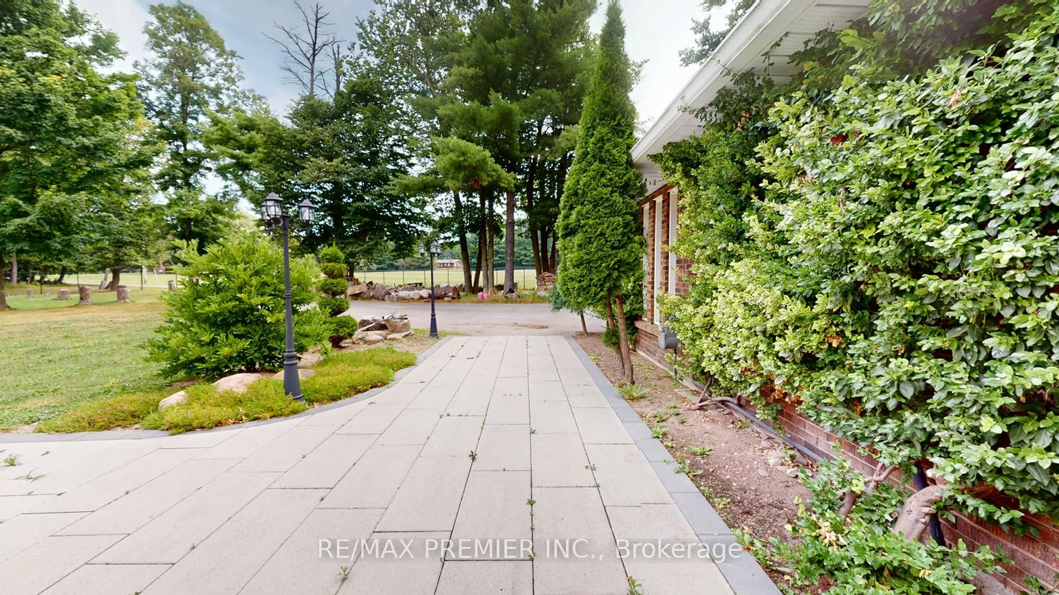 253, Morning, Rural East Gwillimbury, East Gwillimbury