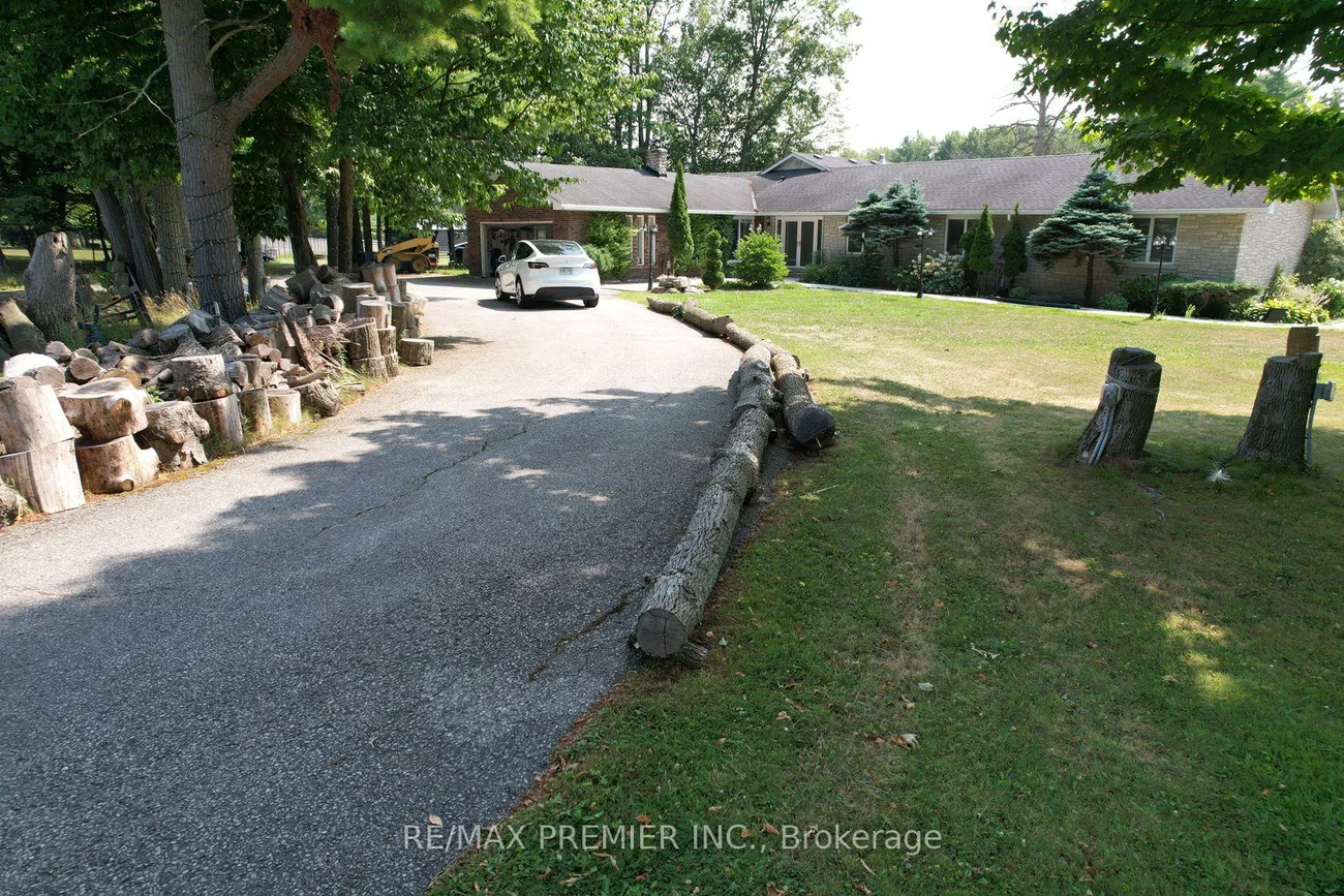 253, Morning, Rural East Gwillimbury, East Gwillimbury