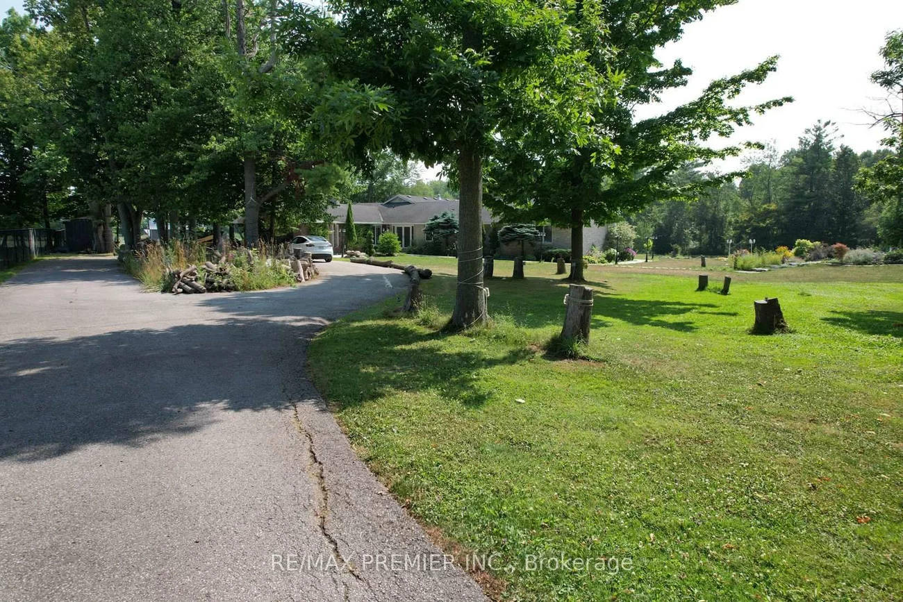 253, Morning, Rural East Gwillimbury, East Gwillimbury