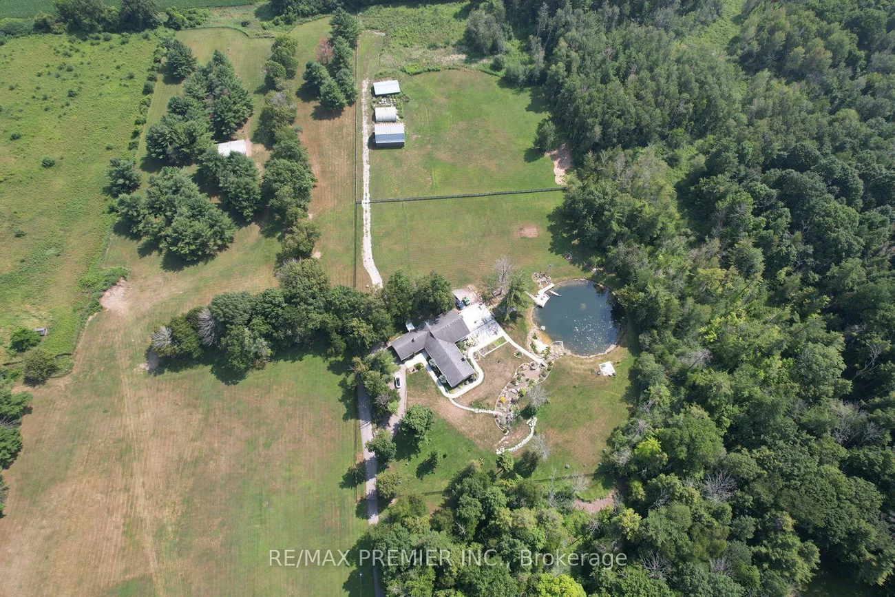 253, Morning, Rural East Gwillimbury, East Gwillimbury