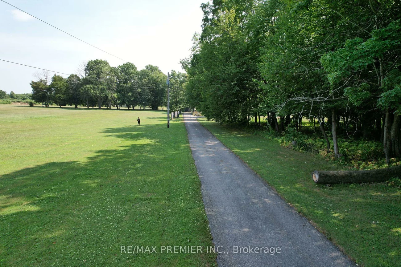 253, Morning, Rural East Gwillimbury, East Gwillimbury