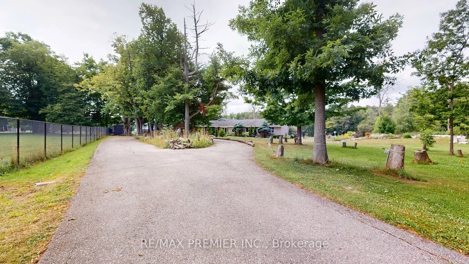 253, Morning, Rural East Gwillimbury, East Gwillimbury