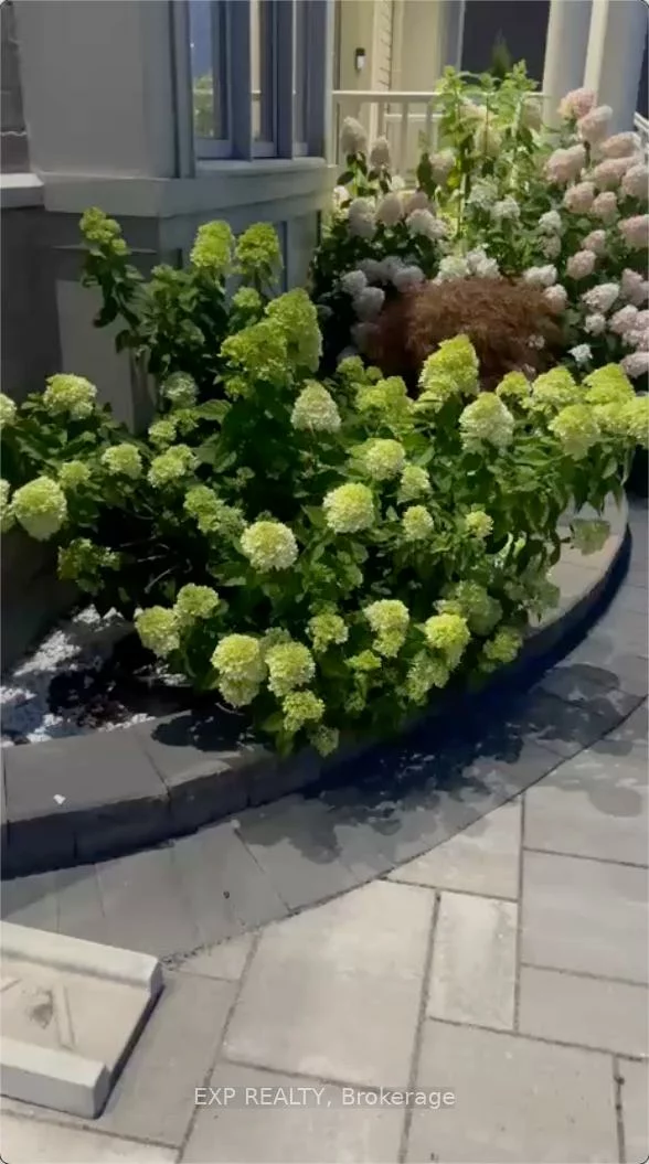 2, Tesla, Holland Landing, East Gwillimbury