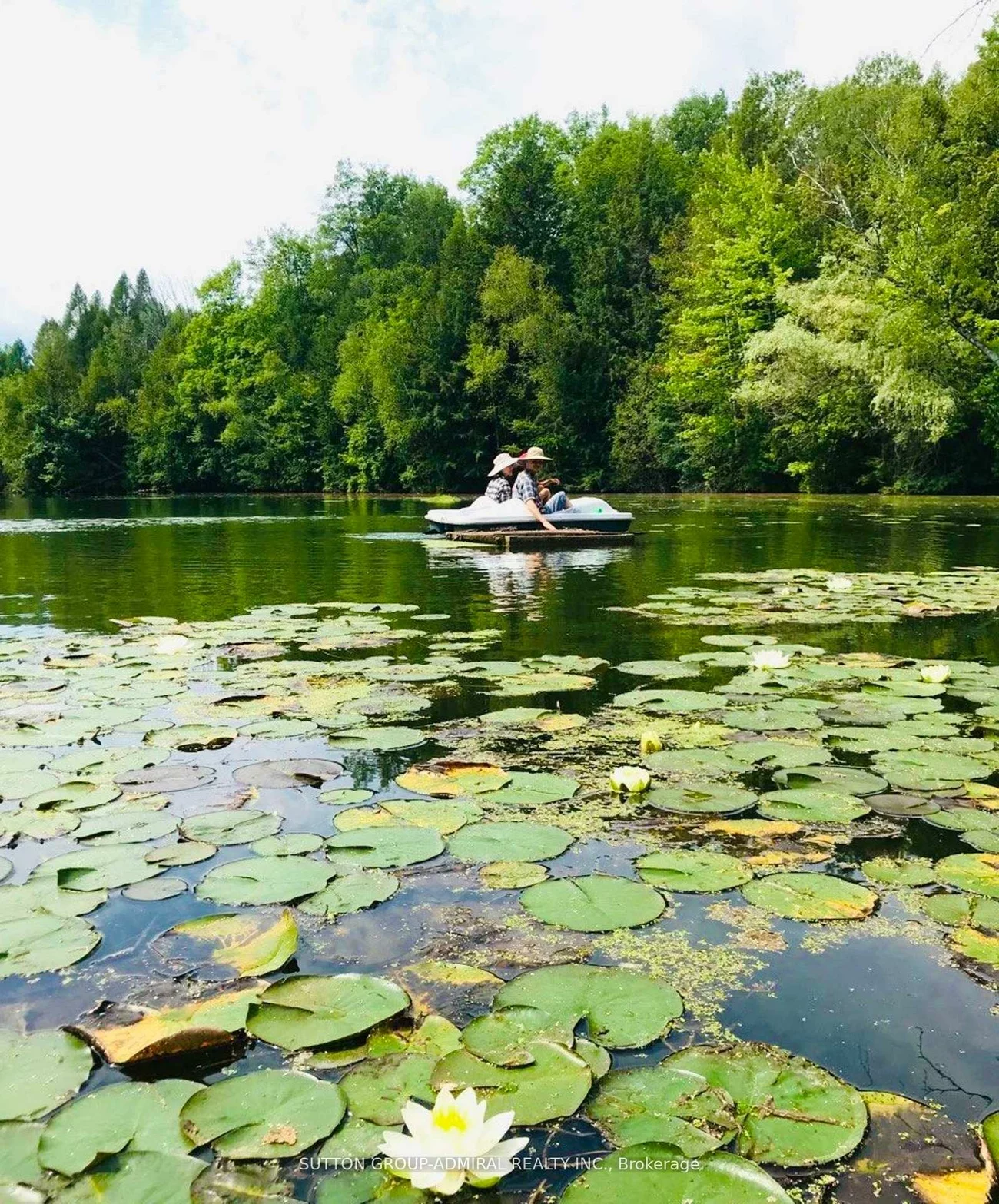 17835, McCowan, Rural East Gwillimbury, East Gwillimbury