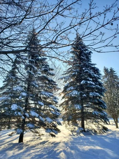 19572, Centre, Rural East Gwillimbury, East Gwillimbury