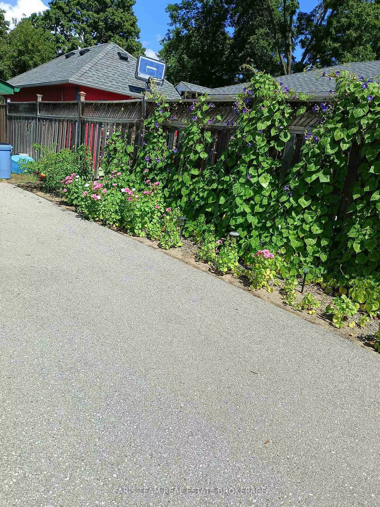 142, Oriole, Holland Landing, East Gwillimbury