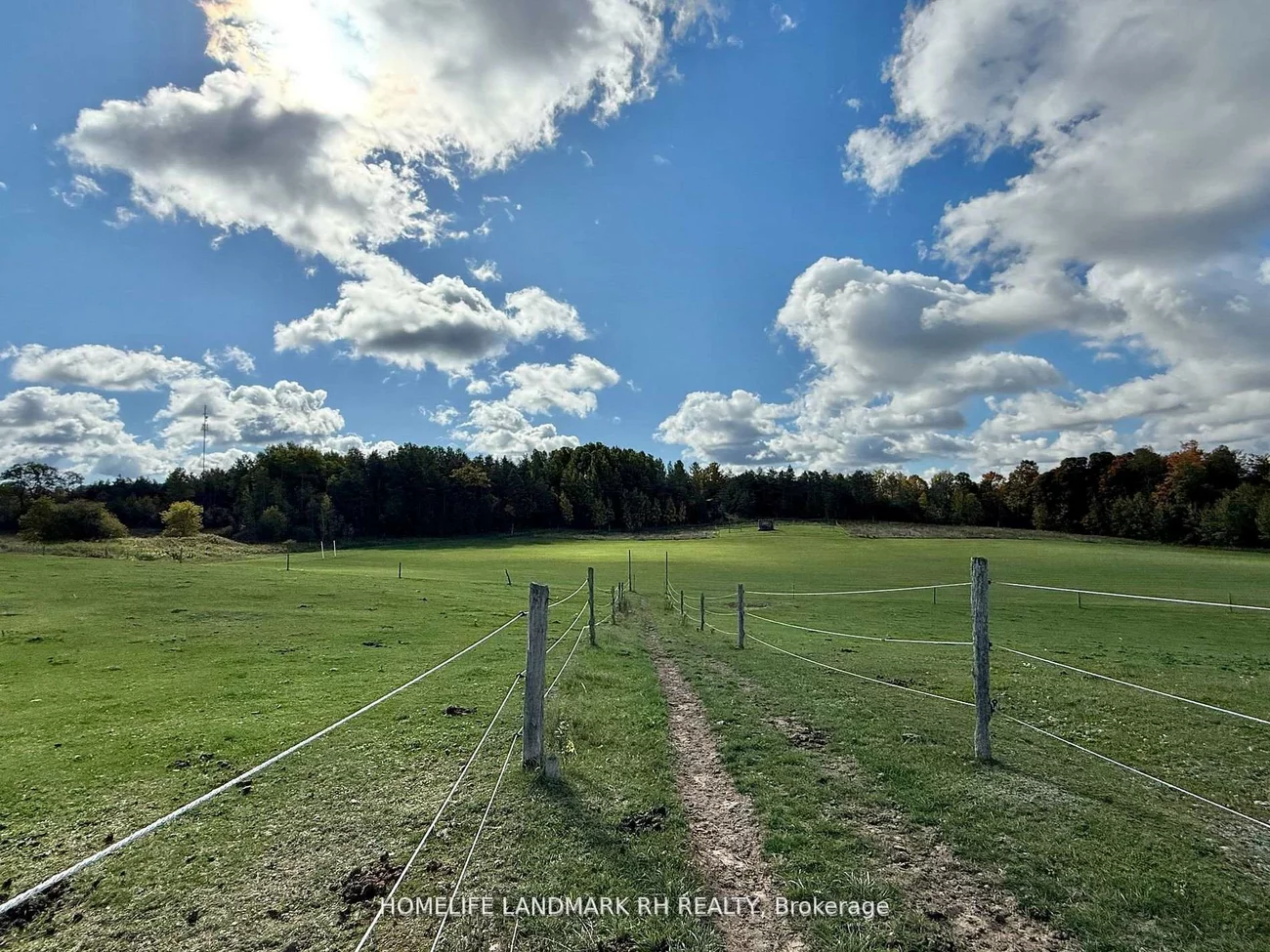 5031, Herald, Mt Albert, East Gwillimbury