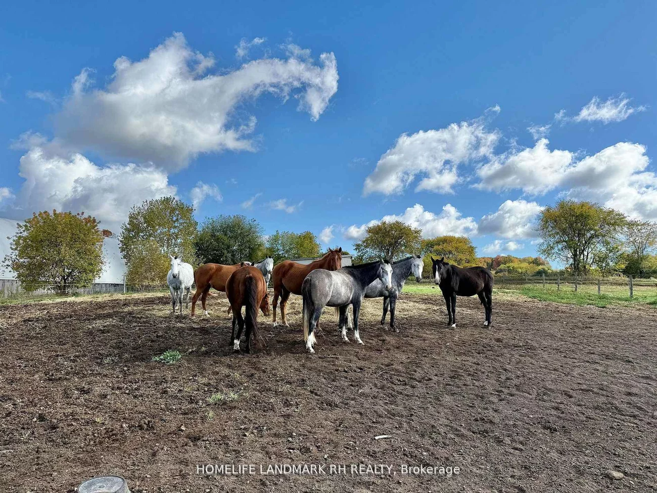 5031, Herald, Mt Albert, East Gwillimbury
