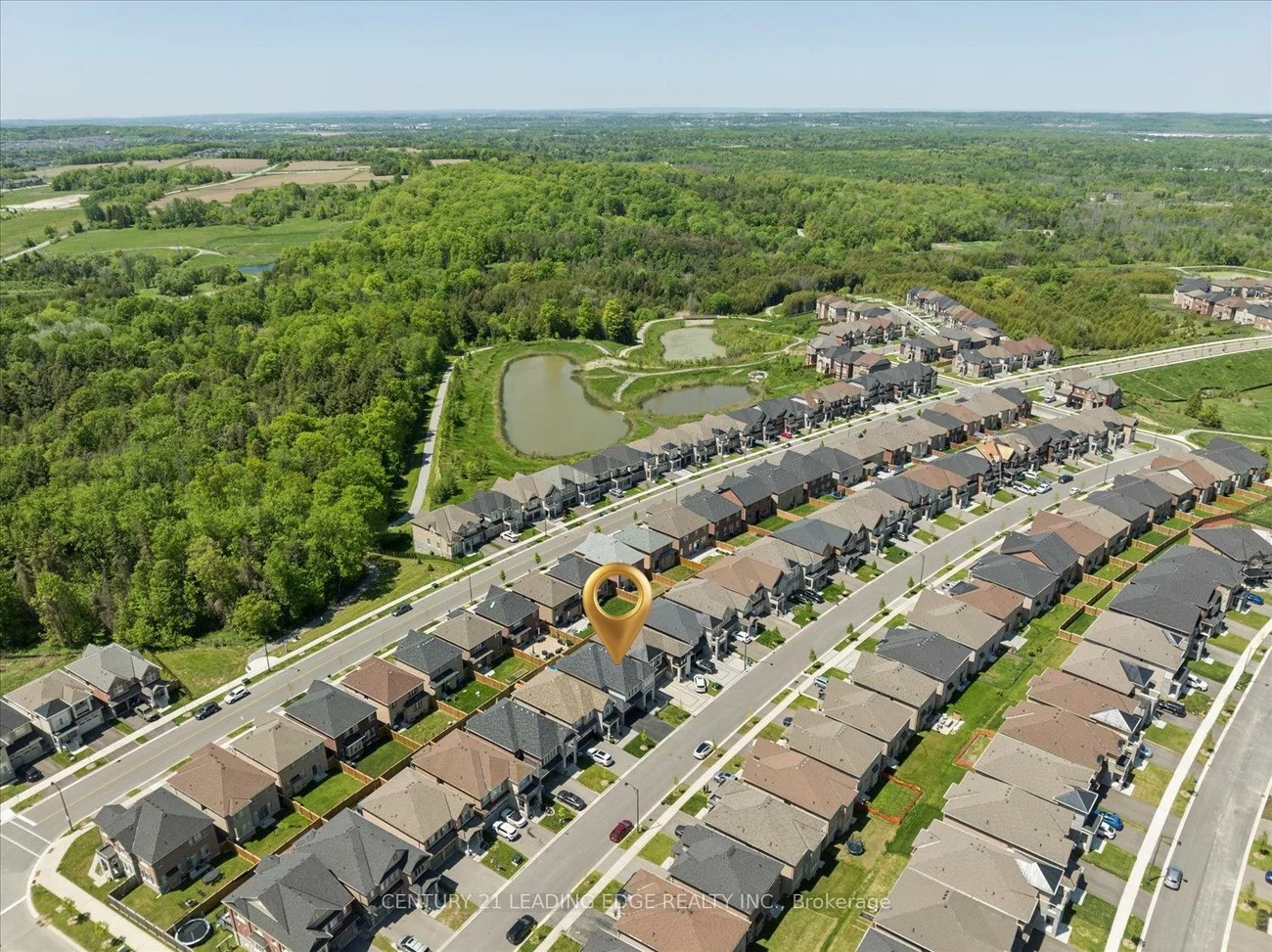 115, Ben Sinclair, Queensville, East Gwillimbury