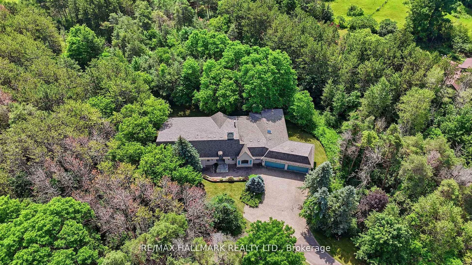 18381, McCowan, Rural East Gwillimbury, East Gwillimbury
