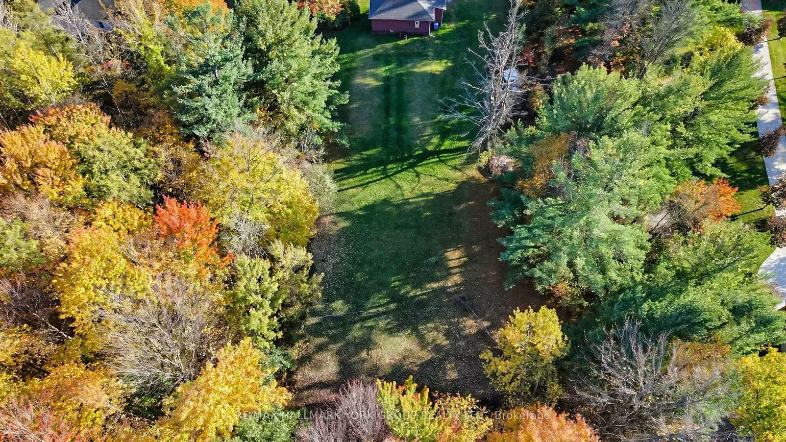 450, Queensville, Rural East Gwillimbury, East Gwillimbury