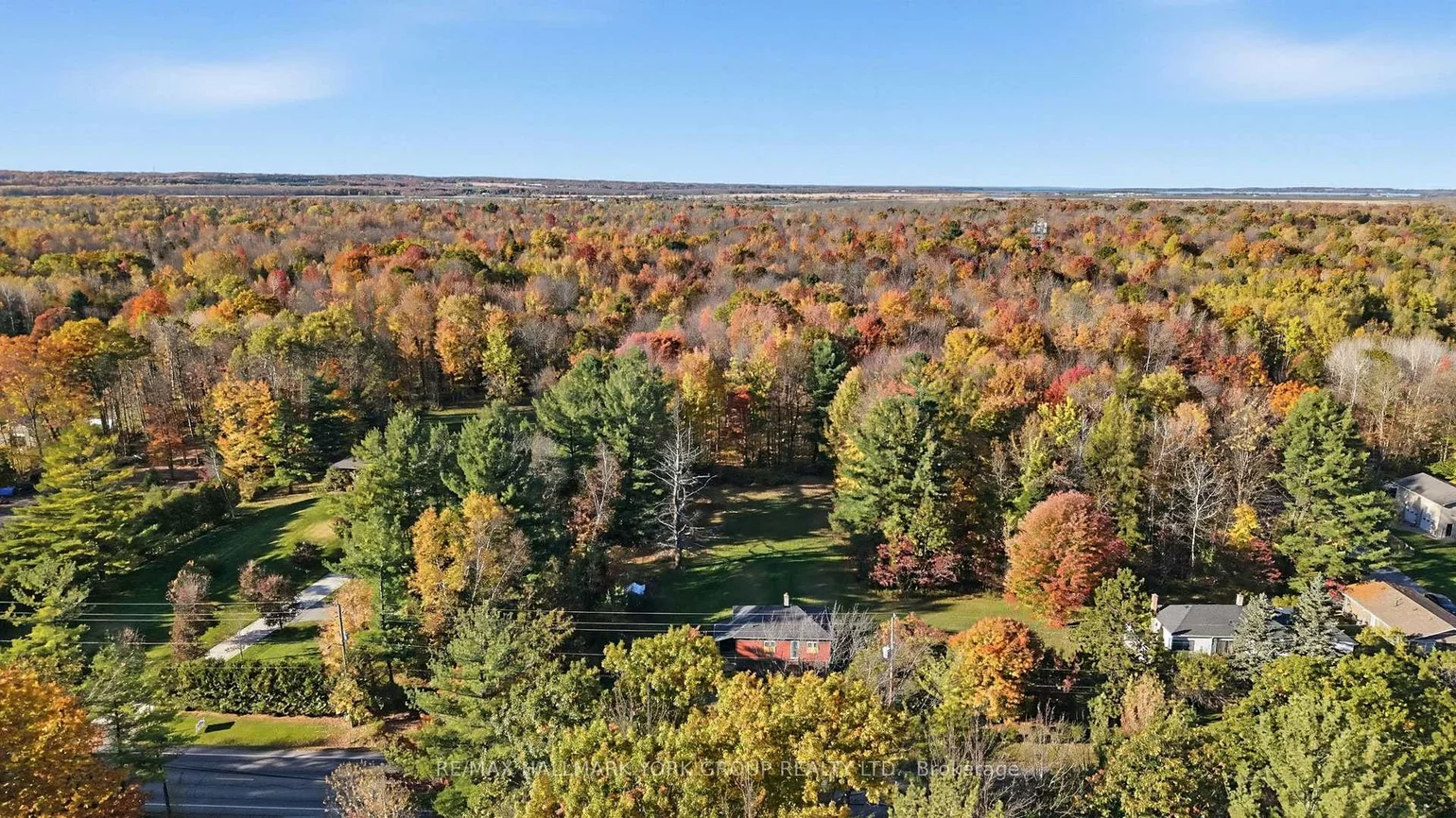 450, Queensville, Rural East Gwillimbury, East Gwillimbury