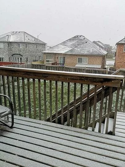 1209, Gina, Alcona, Innisfil