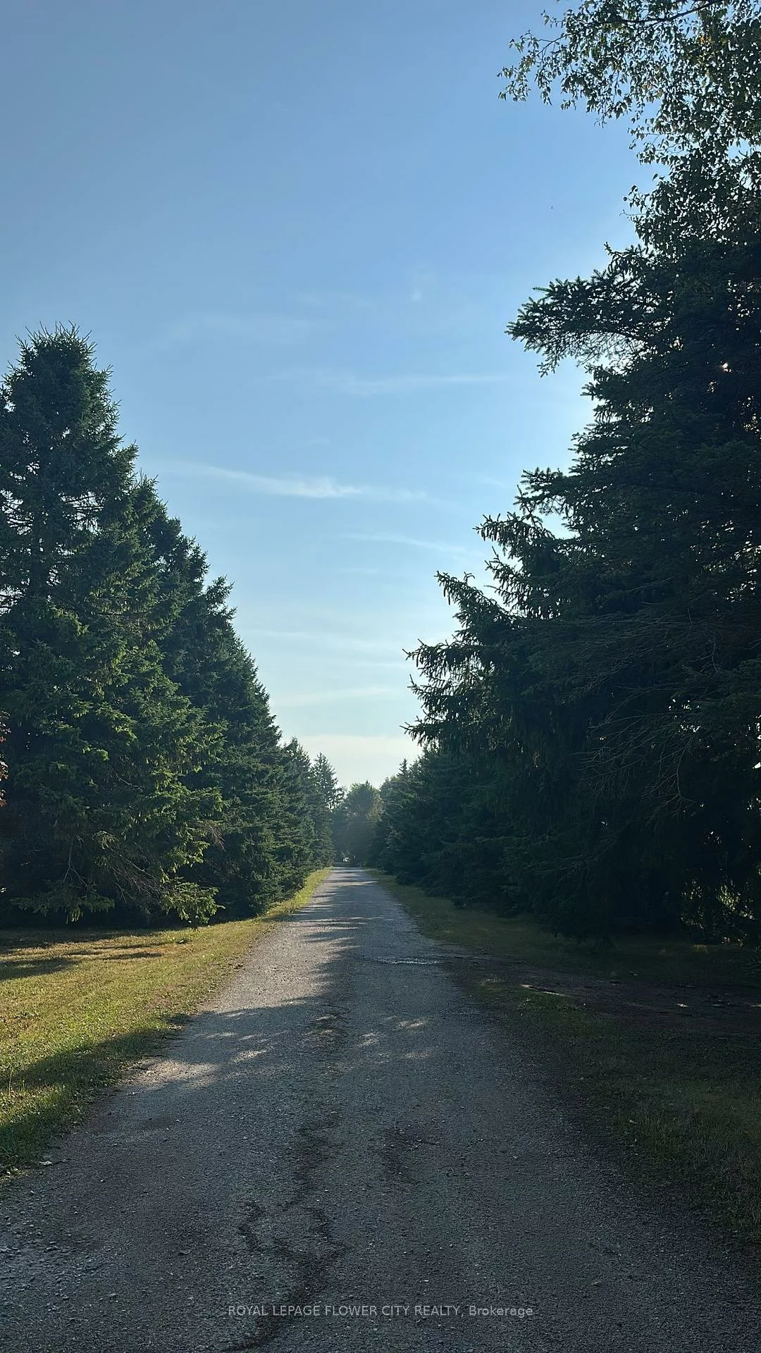 7076, 5th side, Cookstown, Innisfil