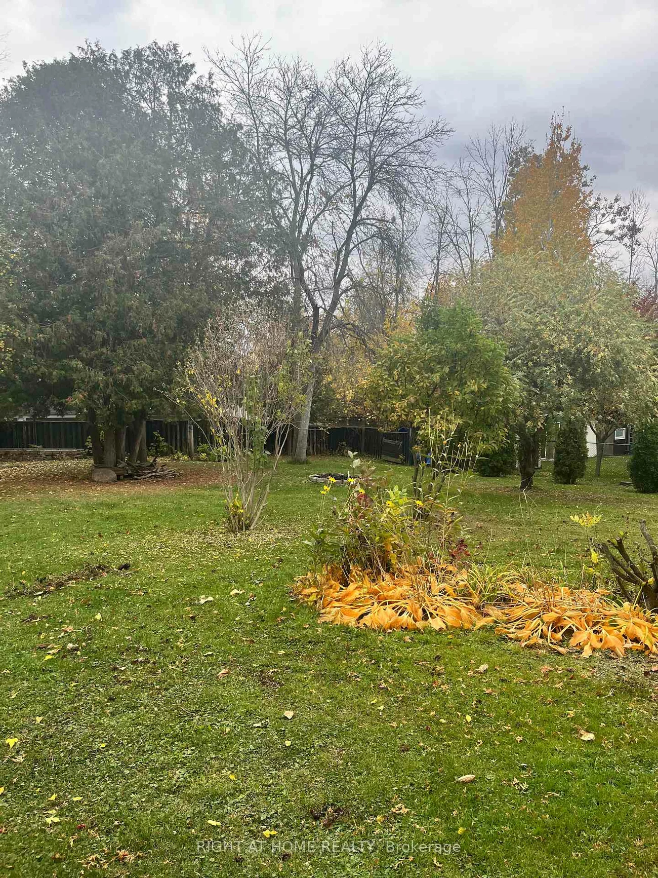 1711, South Porcupine, Rural Innisfil, Innisfil