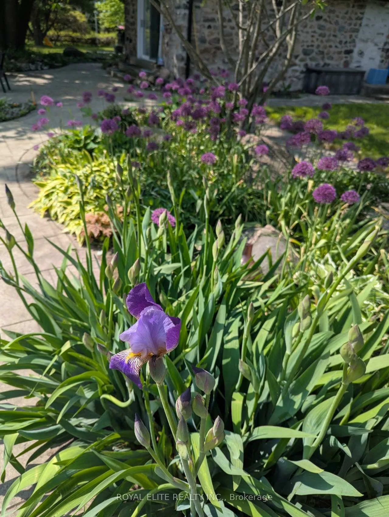 1583, Innisfil Beach, Rural Innisfil, Innisfil