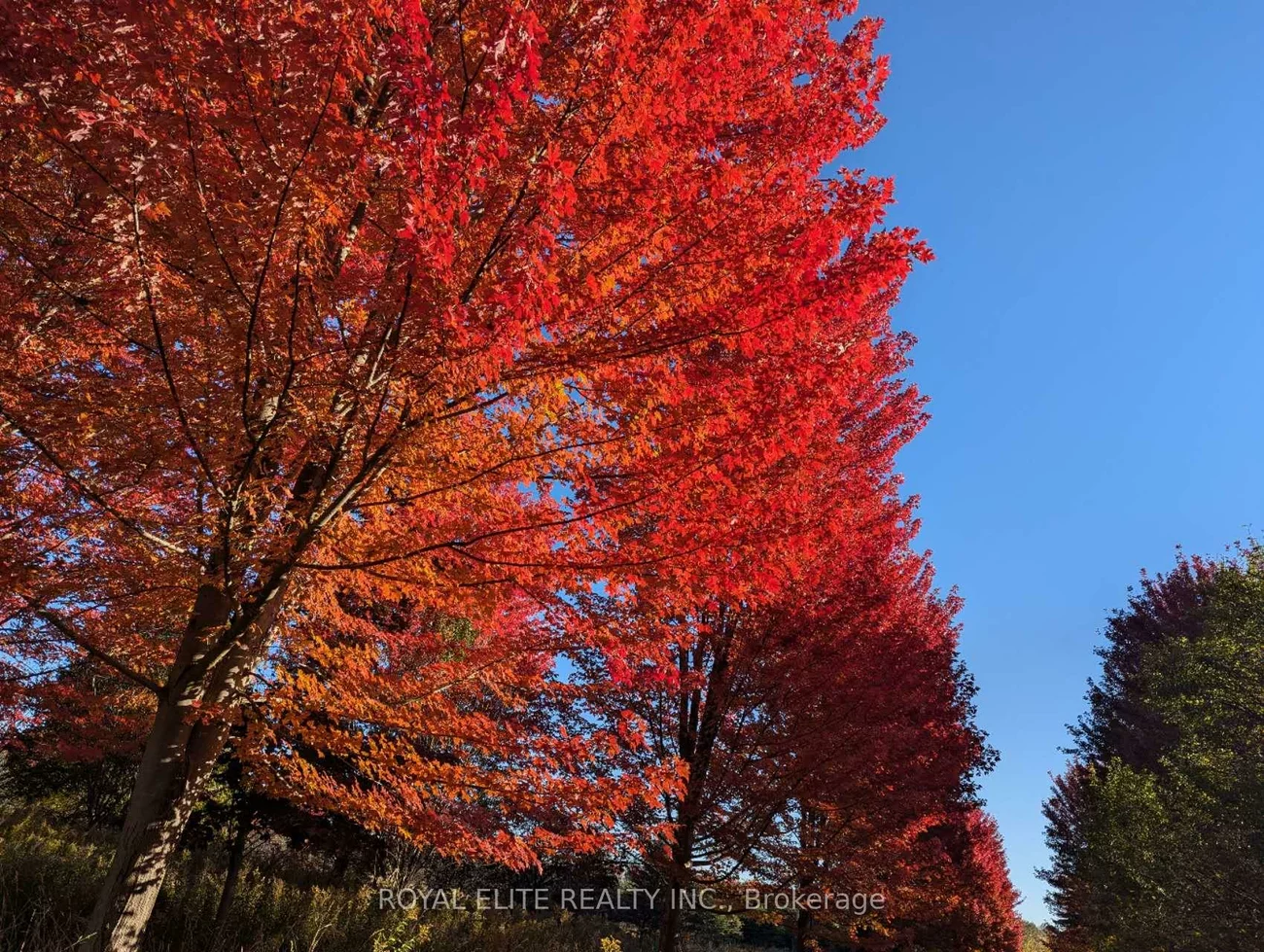 1583, Innisfil Beach, Rural Innisfil, Innisfil