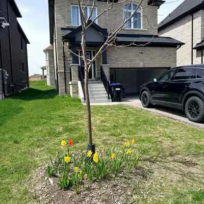 1376, Harrington, Lefroy, Innisfil