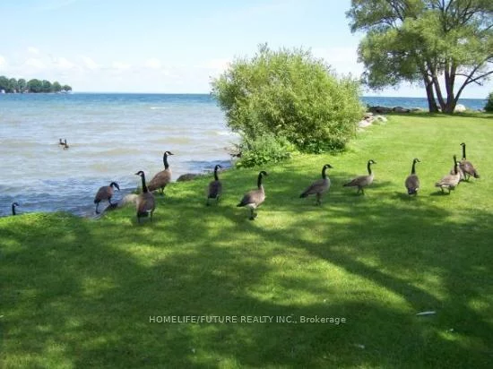 2088, Osbond, Alcona, Innisfil