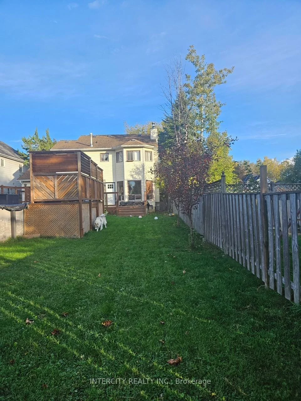 981, Linden, Alcona, Innisfil