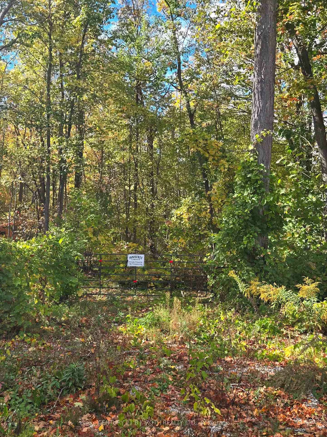 414, Limerick, Rural Innisfil, Innisfil