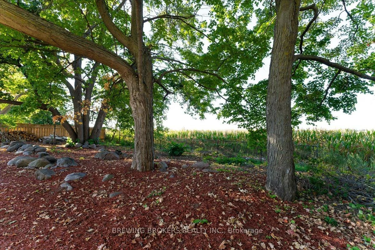 261, Nelson, Stroud, Innisfil