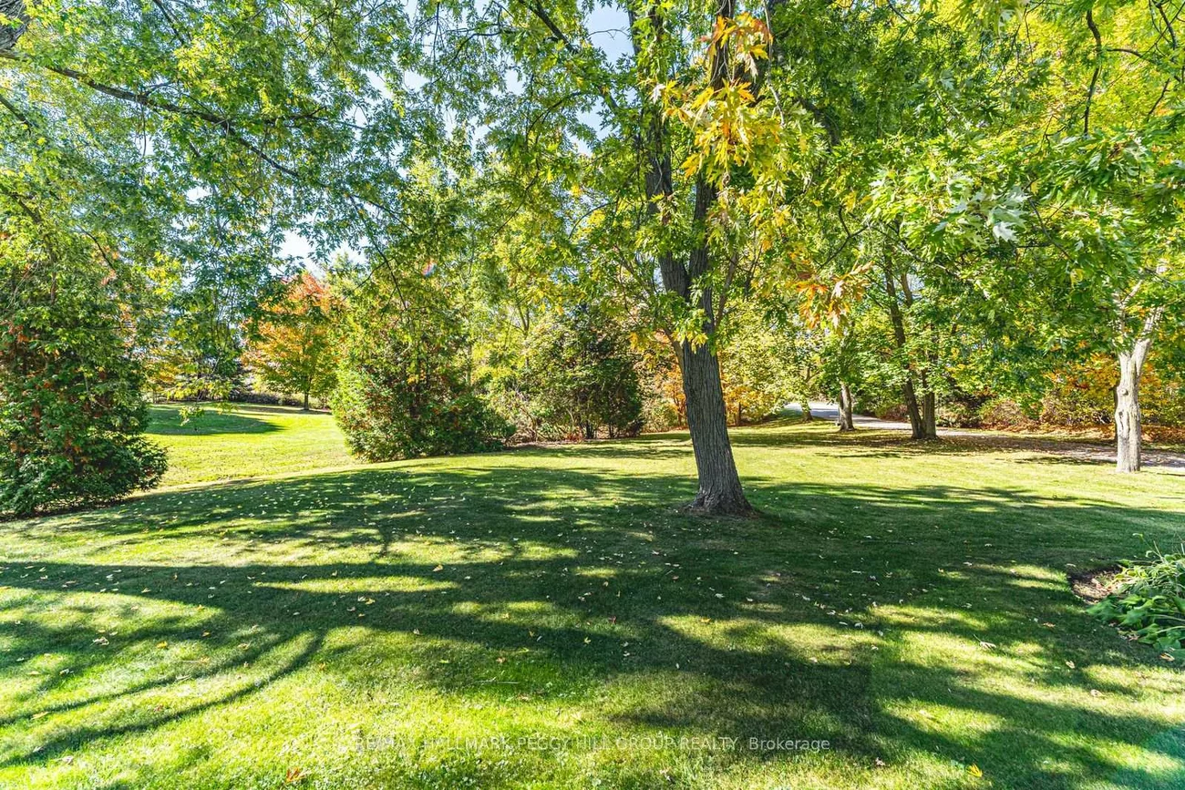 5853, Yonge, Rural Innisfil, Innisfil