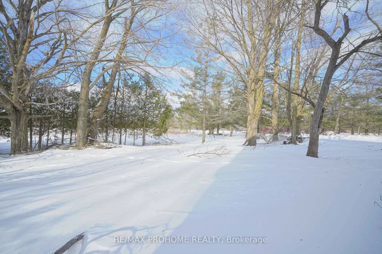 3869, 7th, Rural Innisfil, Innisfil