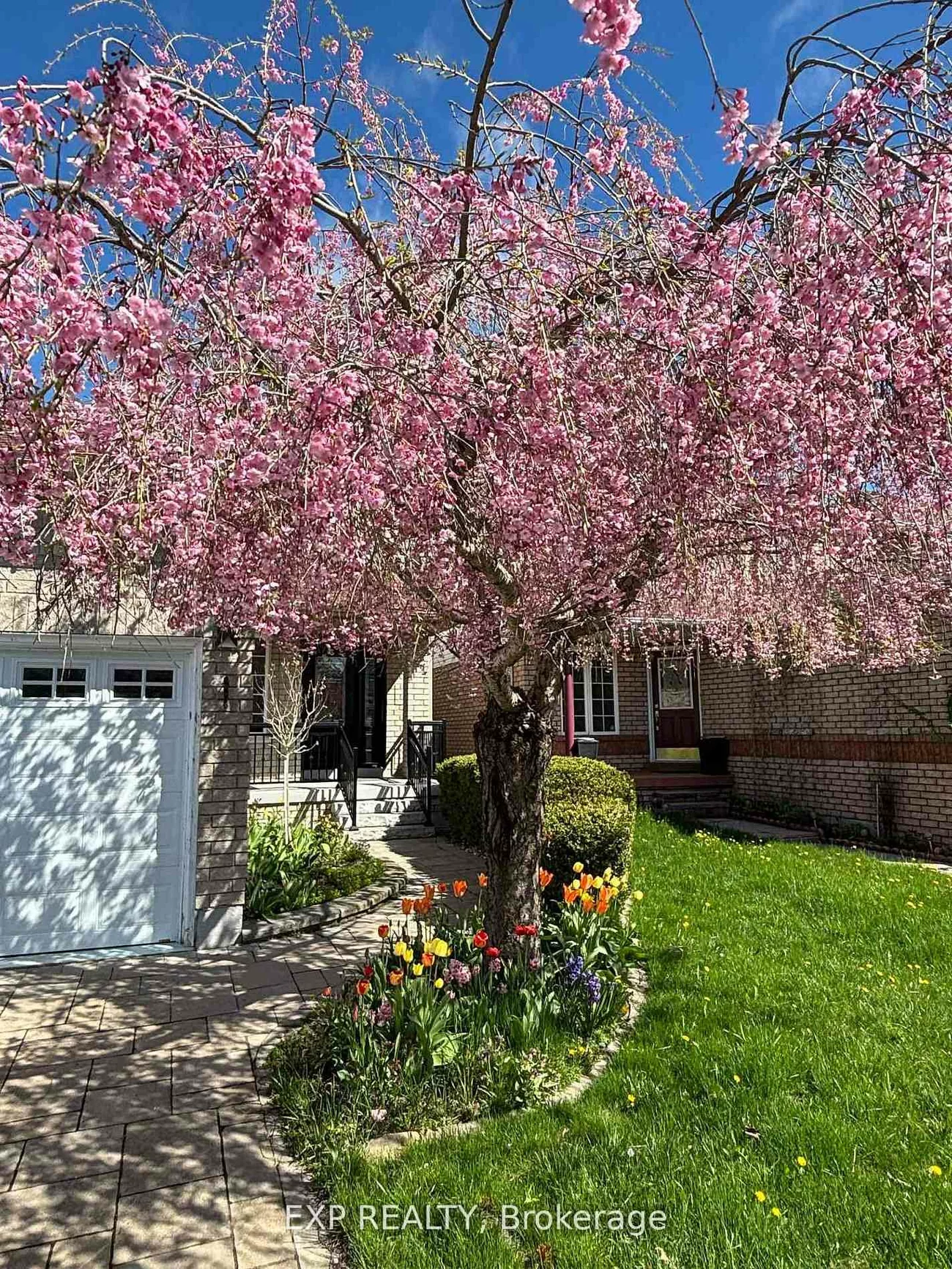 1202, Andrade, Alcona, Innisfil