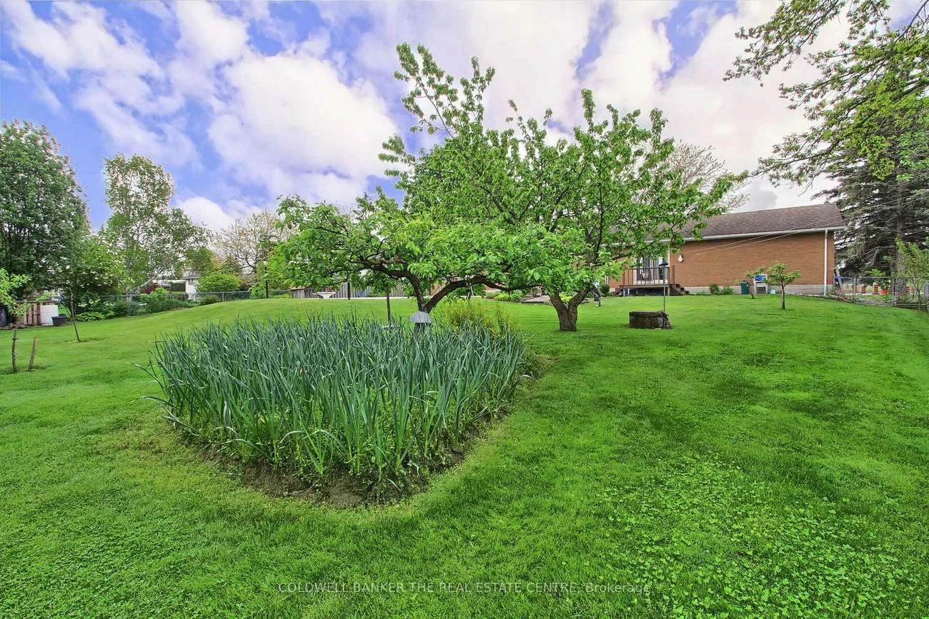 1324, Shore Acres (County Rd 3), Rural Innisfil, Innisfil
