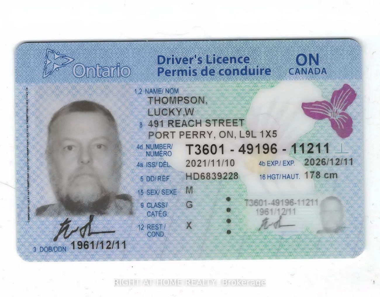 4116, Innisfil Beach, Rural Innisfil, Innisfil