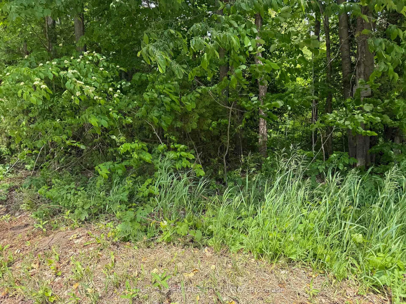 7, Line, Rural Innisfil, Innisfil