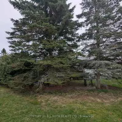 66, Linden, Rural Innisfil, Innisfil